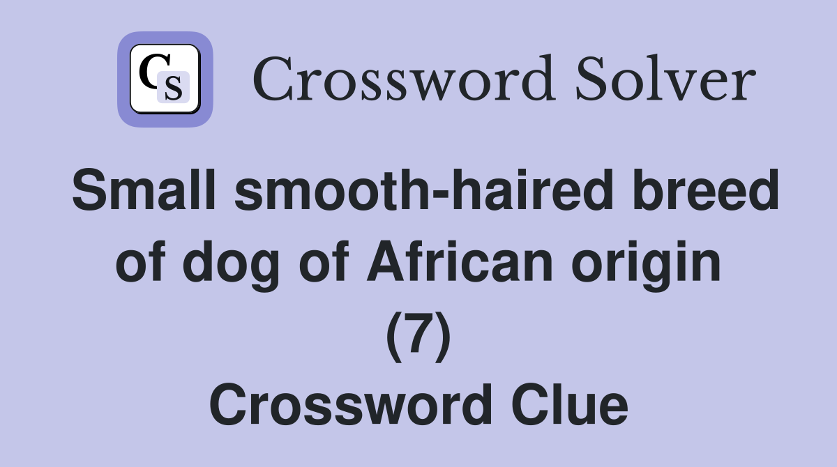 Small smooth-haired breed of dog of African origin (7) Crossword Clue