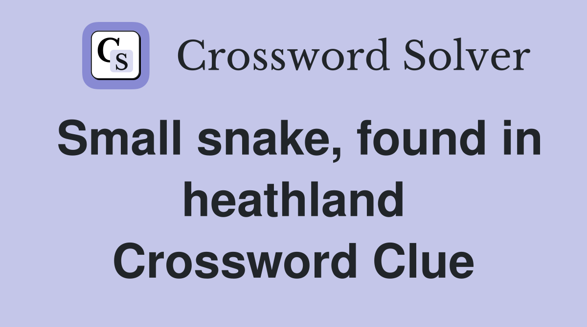 Small snake, found in heathland Crossword Clue