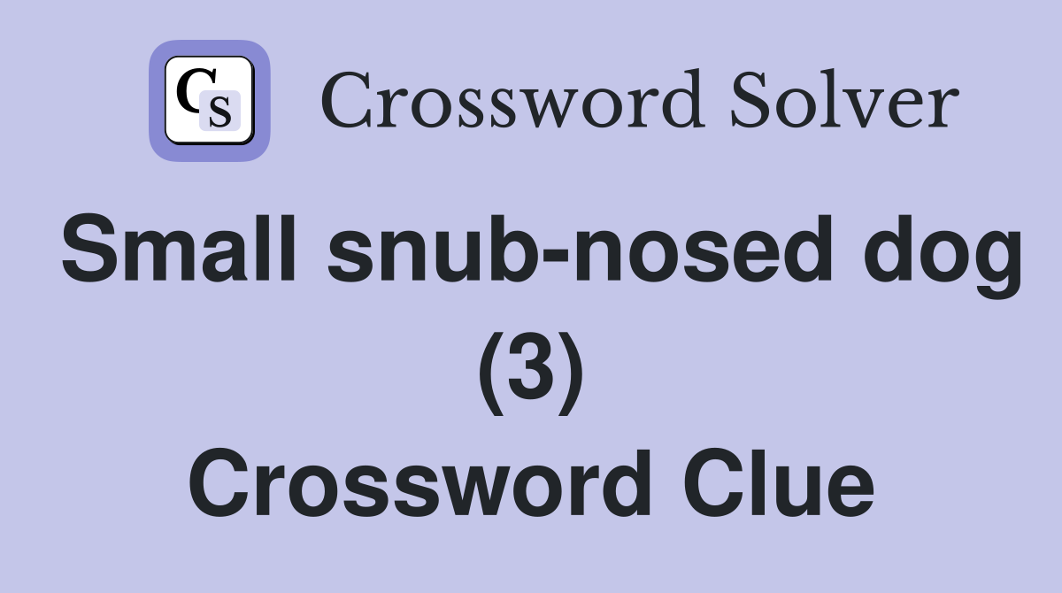 Small snub-nosed dog (3) Crossword Clue