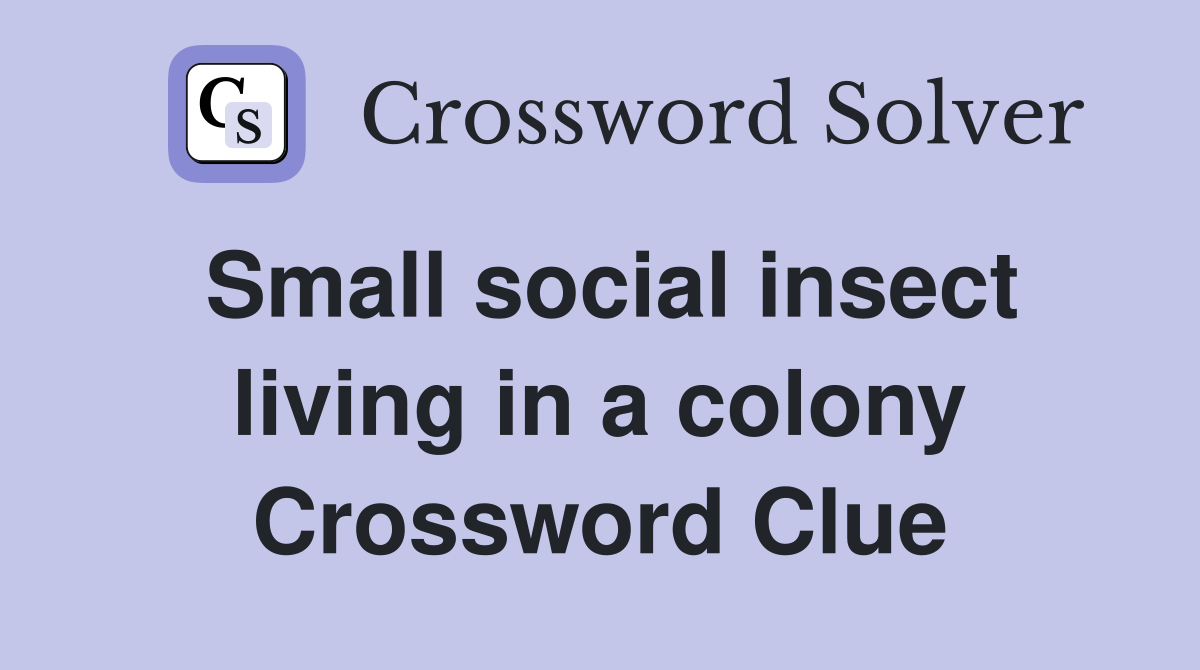 Small social insect living in a colony Crossword Clue