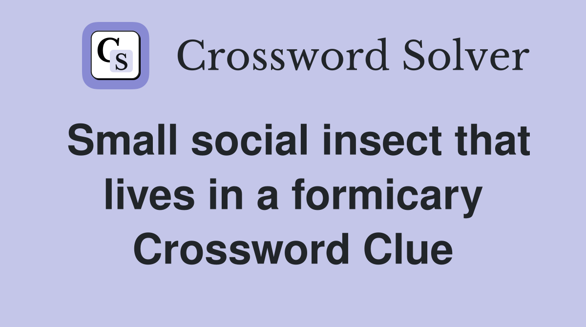Small social insect that lives in a formicary Crossword Clue