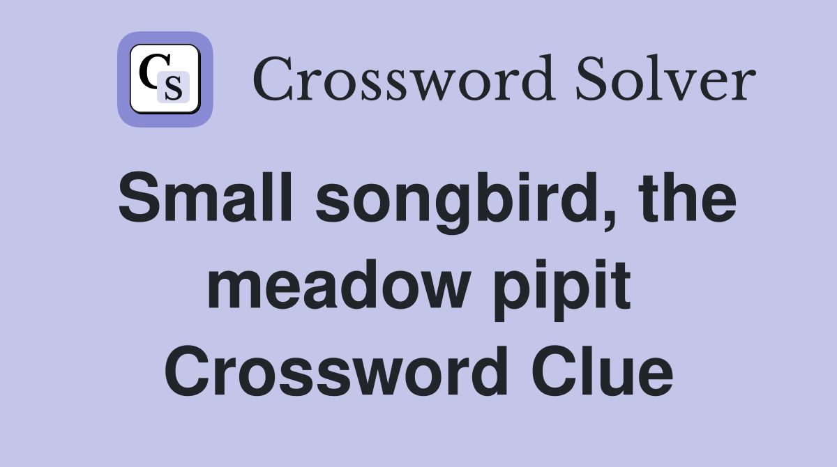 Small songbird, the meadow pipit Crossword Clue