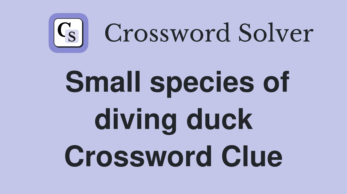 Small species of diving duck Crossword Clue