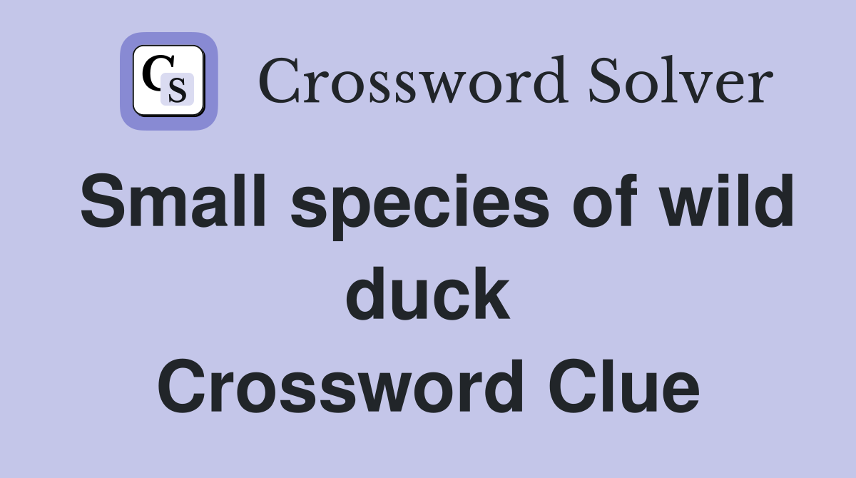 Small species of wild duck Crossword Clue