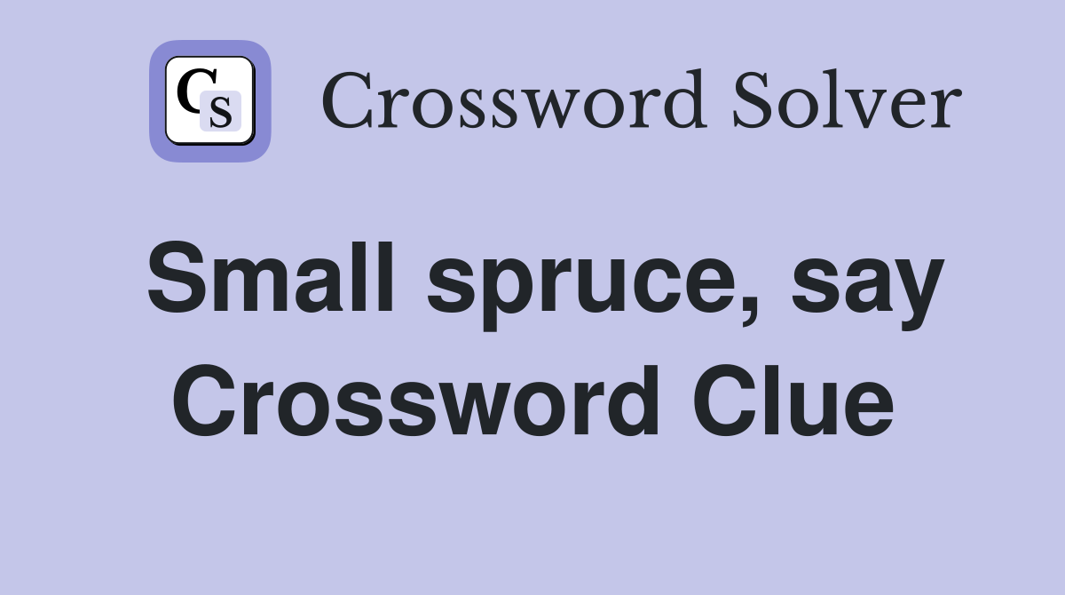Small spruce, say Crossword Clue