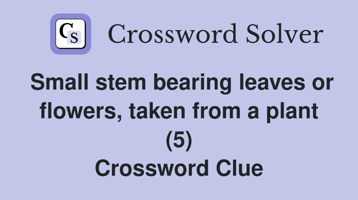Small stem bearing leaves or flowers, taken from a plant (5) Crossword Clue
