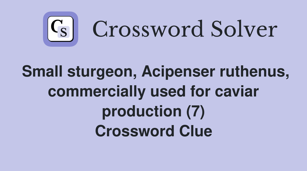 Small sturgeon, Acipenser ruthenus, commercially used for caviar production (7) Crossword Clue