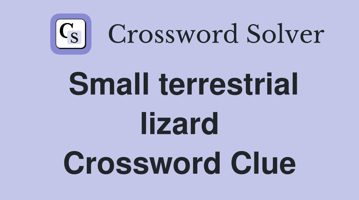 Small terrestrial lizard Crossword Clue