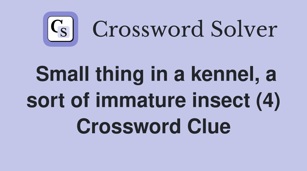 Small thing in a kennel, a sort of immature insect (4) Crossword Clue