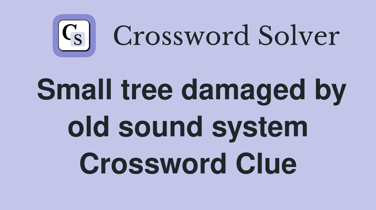 Small tree damaged by old sound system Crossword Clue