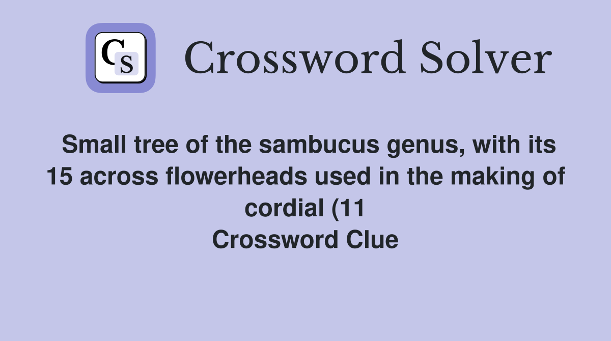 Small tree of the sambucus genus with its 15 across flowerheads used Small tree of the sambucus genus with its 15 across flowerheads used