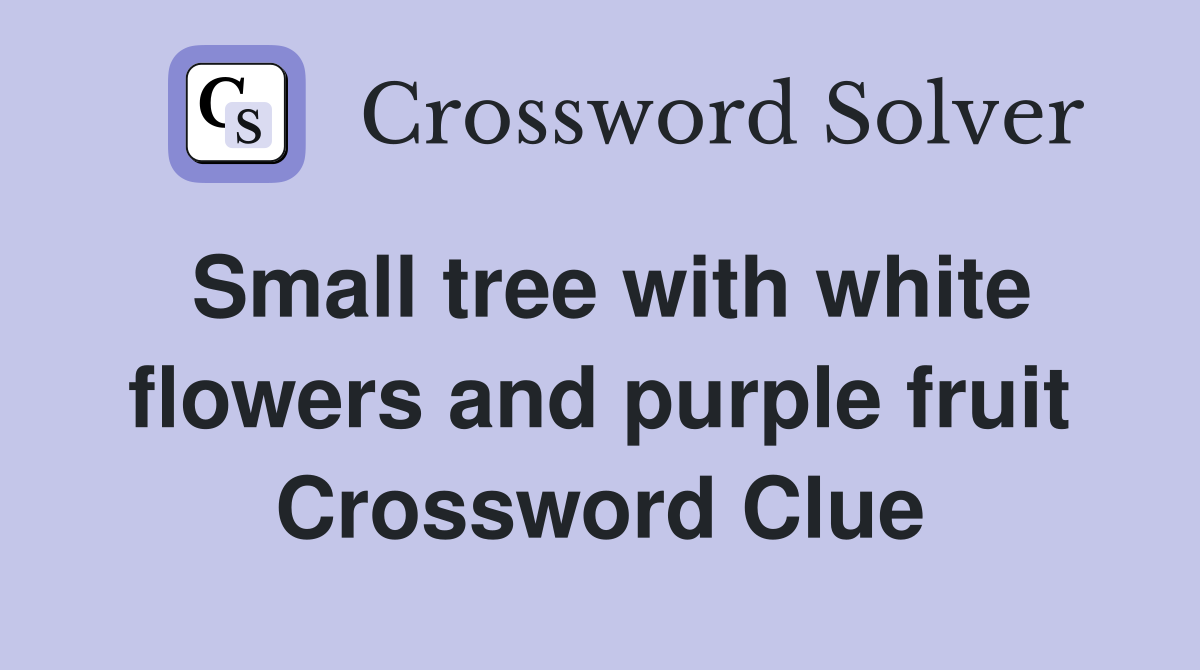 Small tree with white flowers and purple fruit Crossword Clue