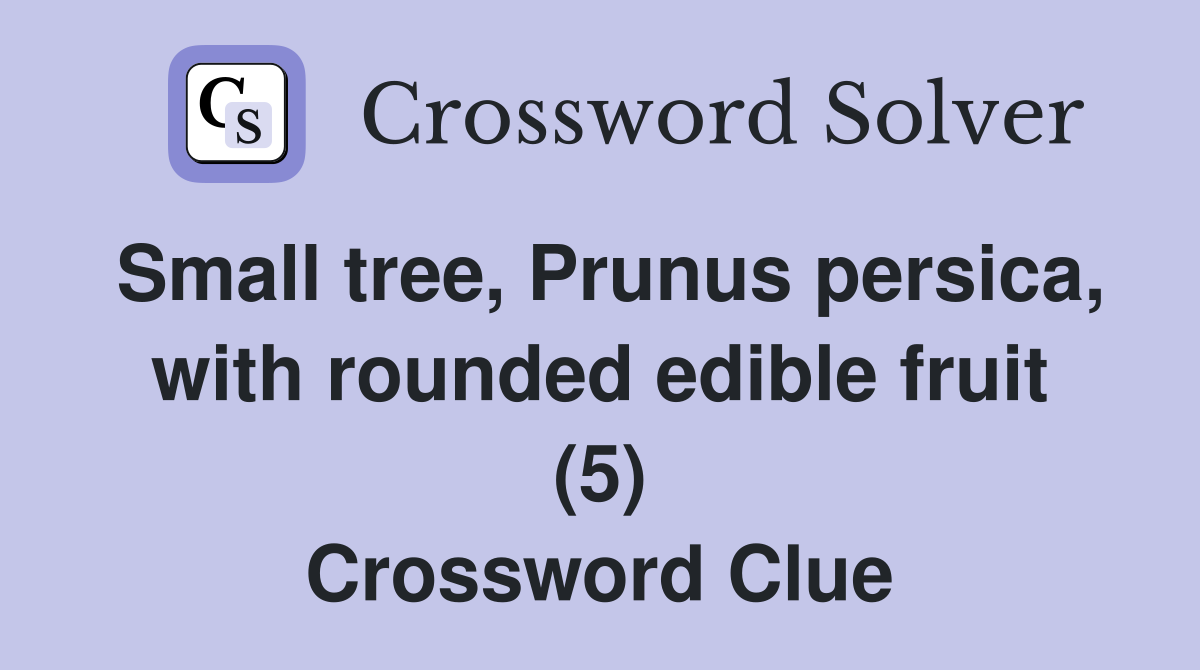 Small tree, Prunus persica, with rounded edible fruit (5) Crossword Clue