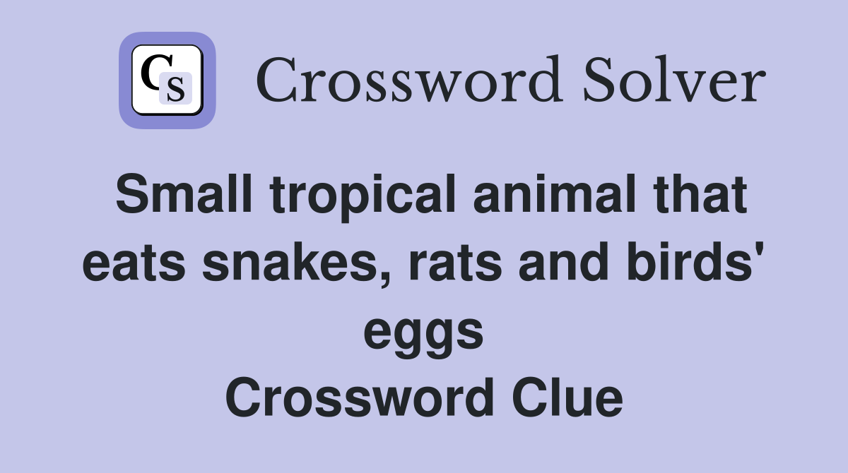 Small tropical animal that eats snakes, rats and birds' eggs Crossword Clue