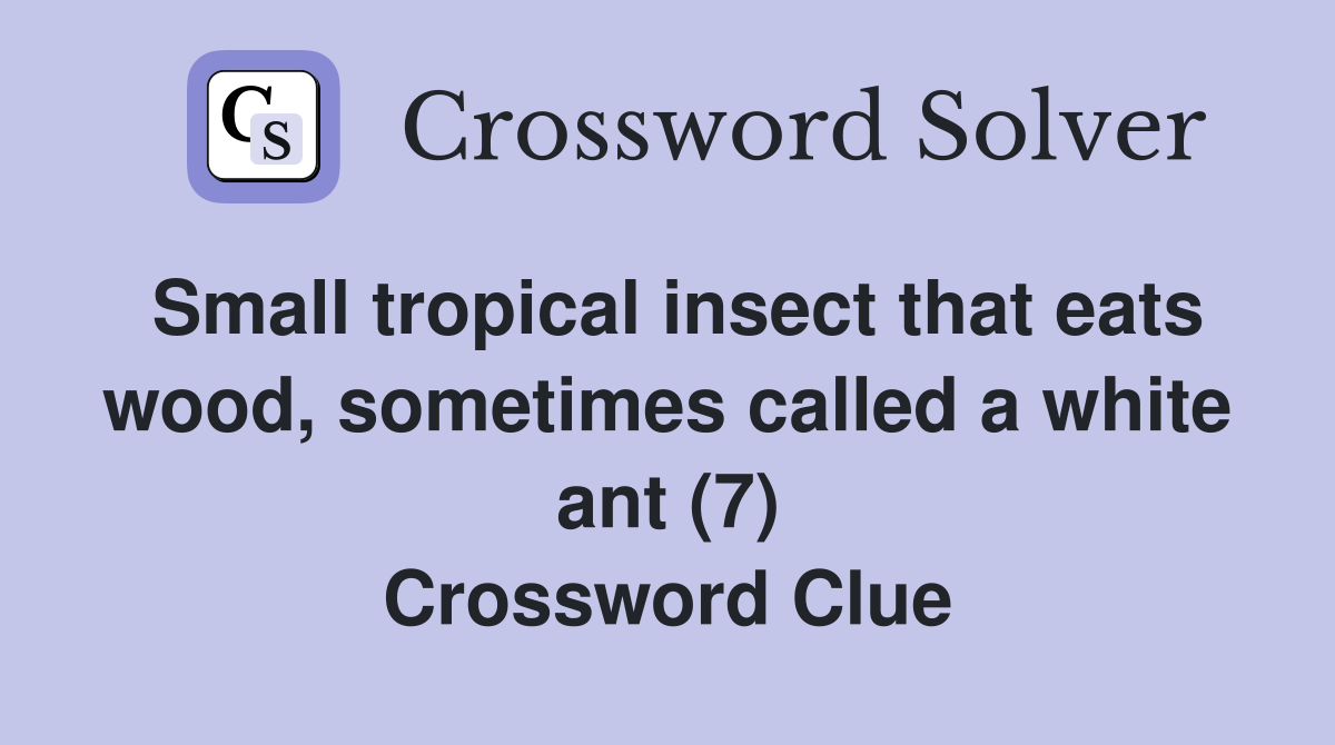 Small tropical insect that eats wood, sometimes called a white ant (7) Crossword Clue