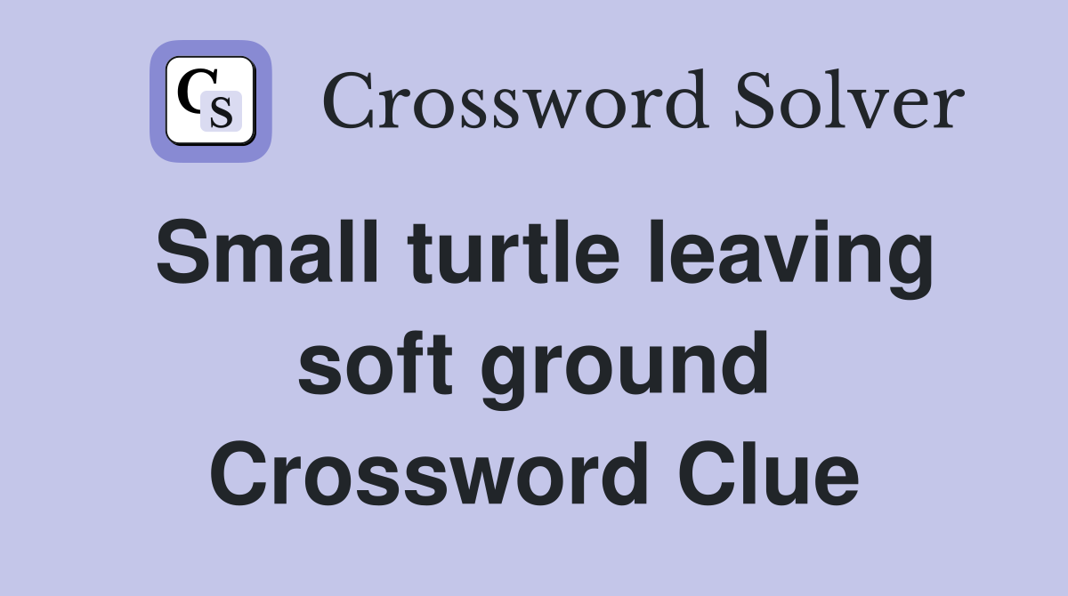 Small turtle leaving soft ground Crossword Clue
