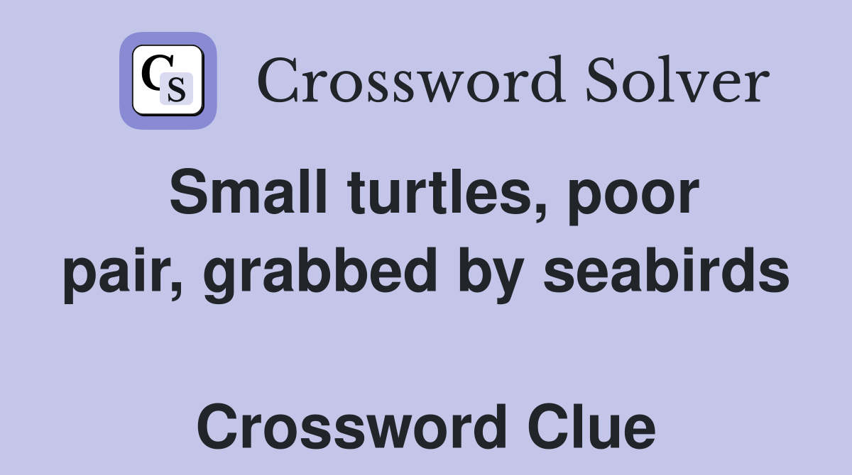 Small turtles, poor pair, grabbed by seabirds  Crossword Clue