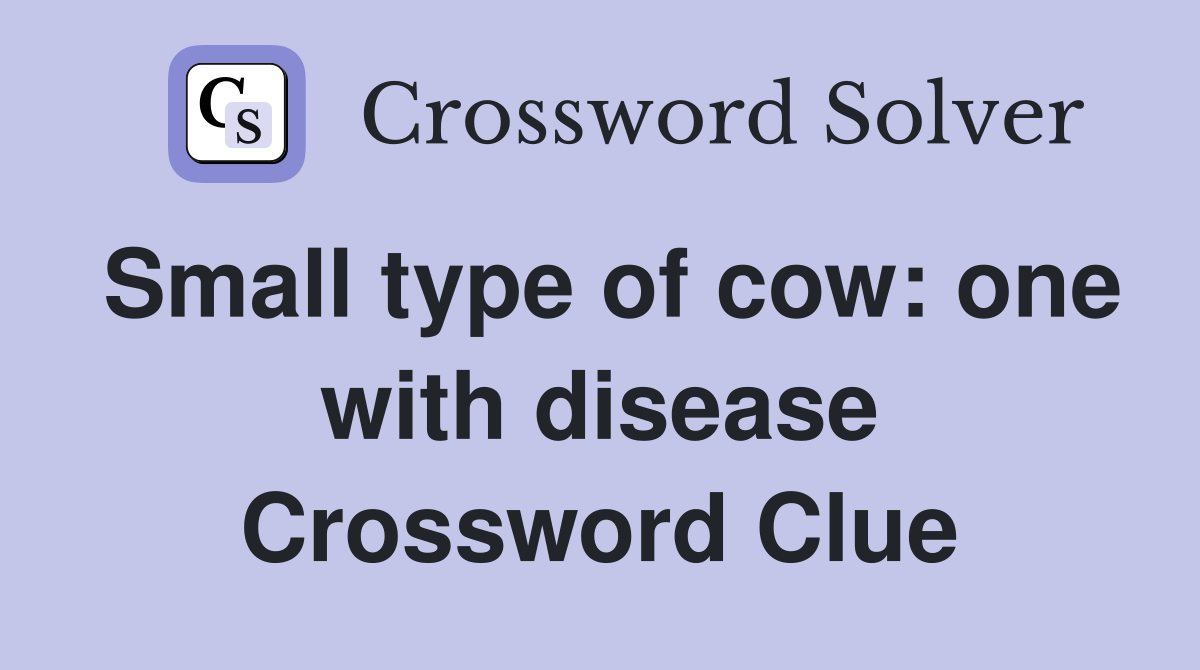 Small type of cow: one with disease Crossword Clue