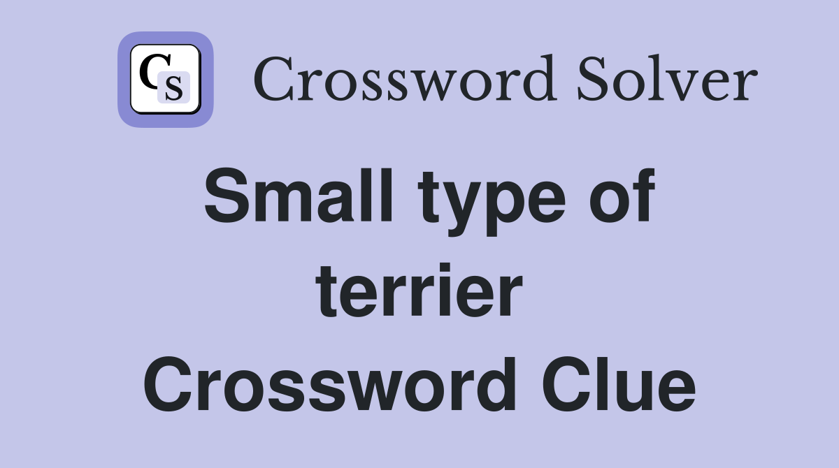 Small type of terrier Crossword Clue