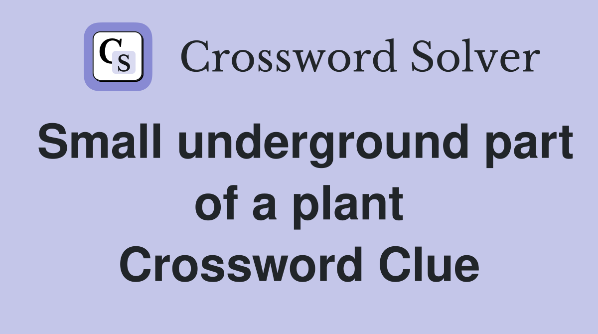 Small underground part of a plant Crossword Clue