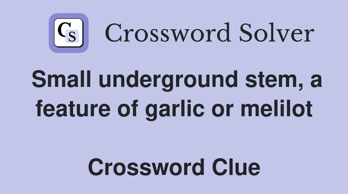 Small underground stem, a feature of garlic or melilot  Crossword Clue