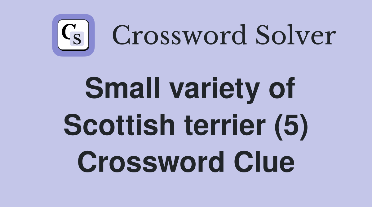 Small variety of Scottish terrier (5) Crossword Clue