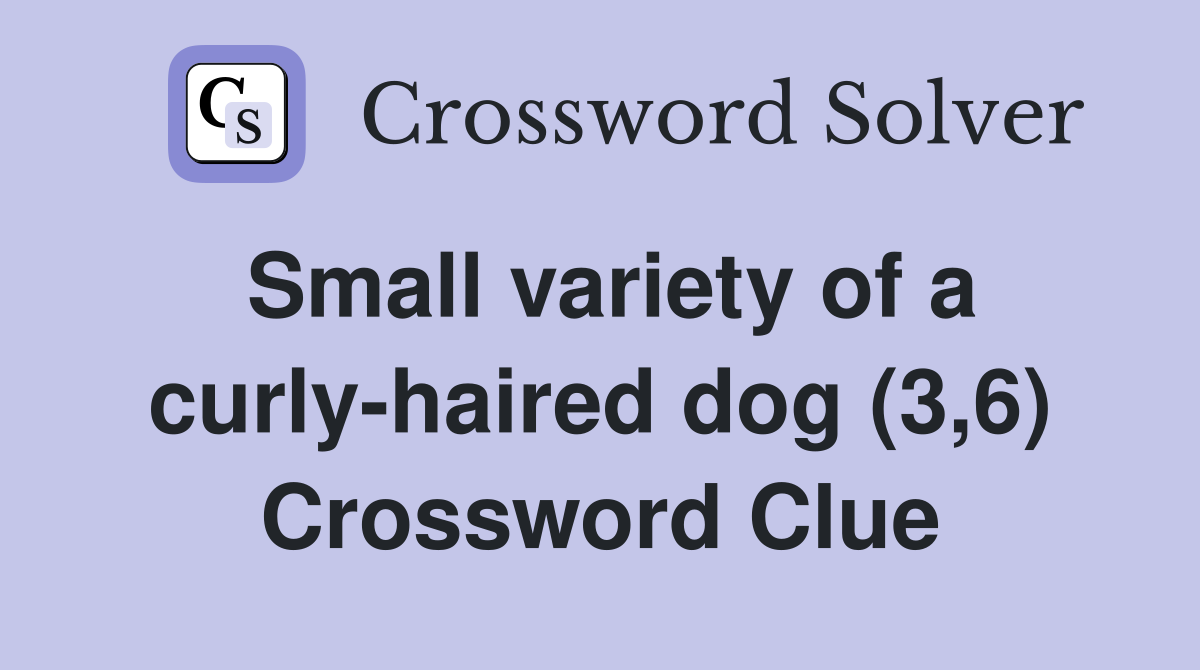 Small variety of a curly-haired dog (3,6) Crossword Clue