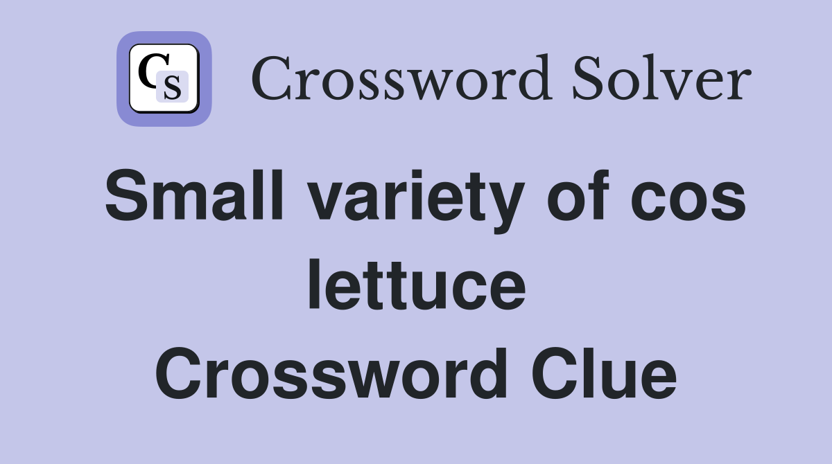 Small variety of cos lettuce Crossword Clue