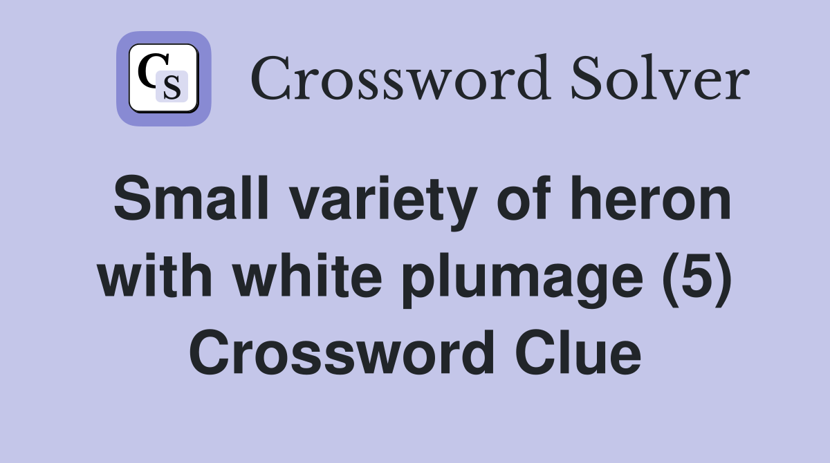 Small variety of heron with white plumage (5) Crossword Clue