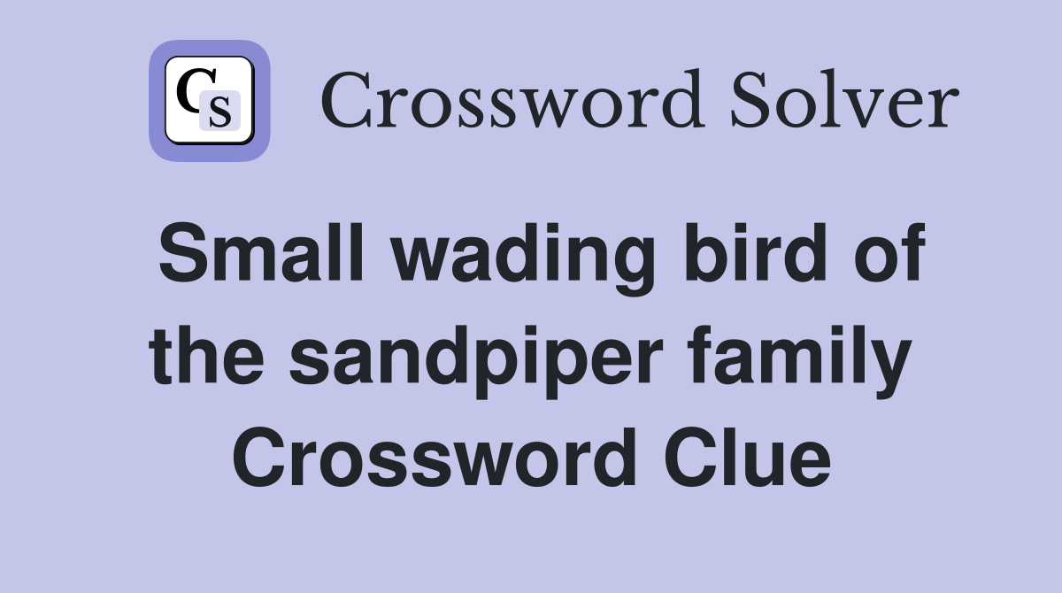 Small wading bird of the sandpiper family Crossword Clue