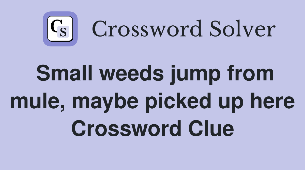 Small weeds jump from mule, maybe picked up here Crossword Clue