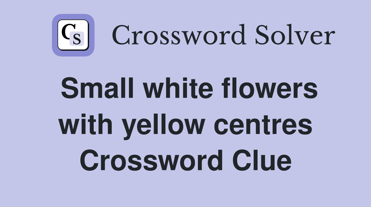 Small white flowers with yellow centres Crossword Clue
