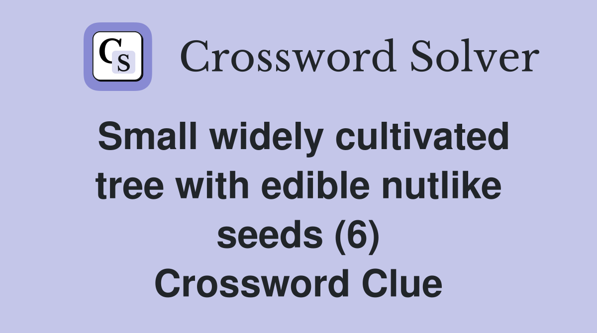 Small widely cultivated tree with edible nutlike seeds (6) Crossword Clue