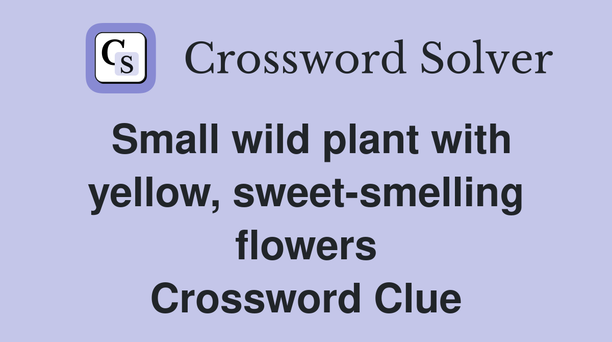 Small wild plant with yellow, sweet-smelling flowers Crossword Clue