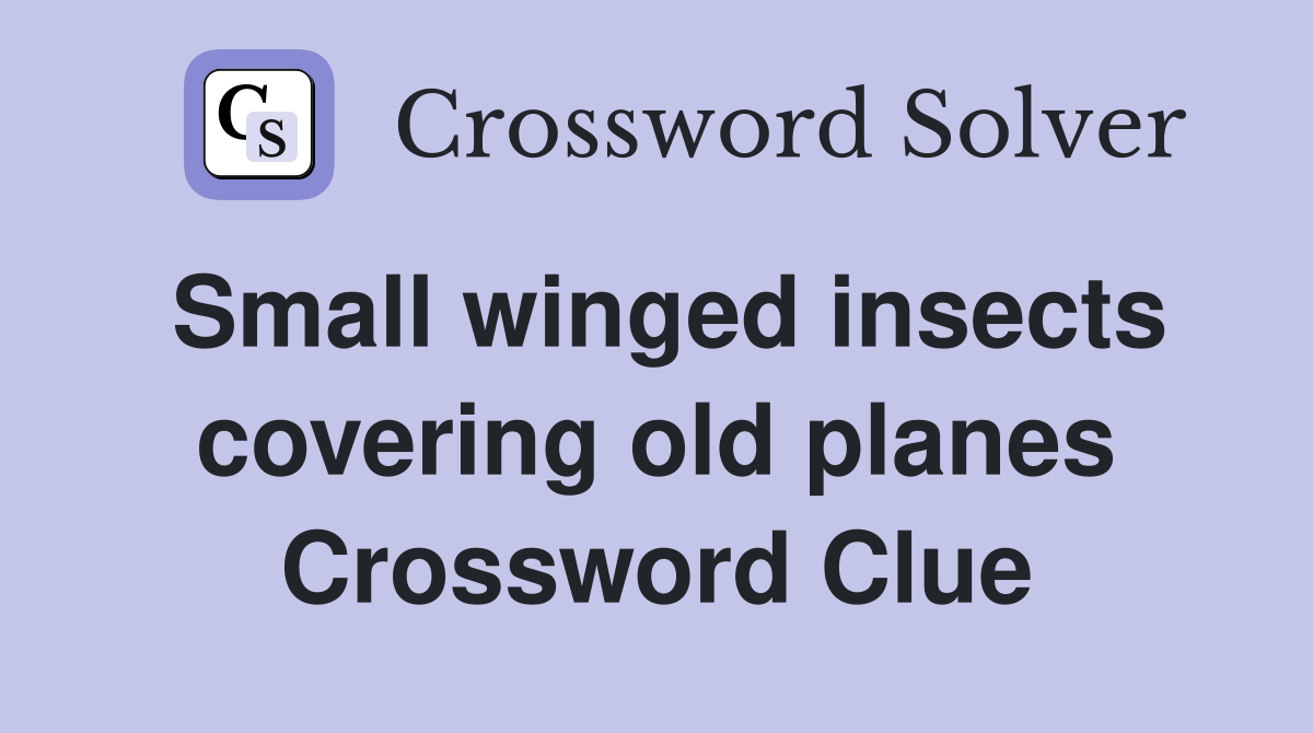Small winged insects covering old planes Crossword Clue