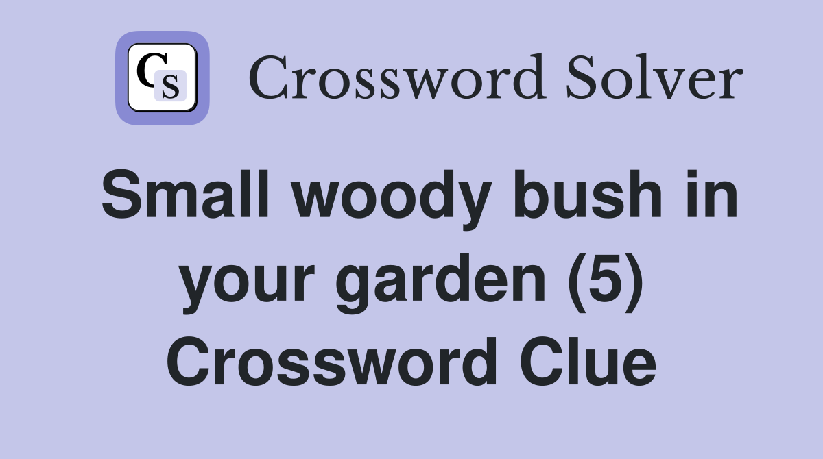 Small woody bush in your garden (5) Crossword Clue