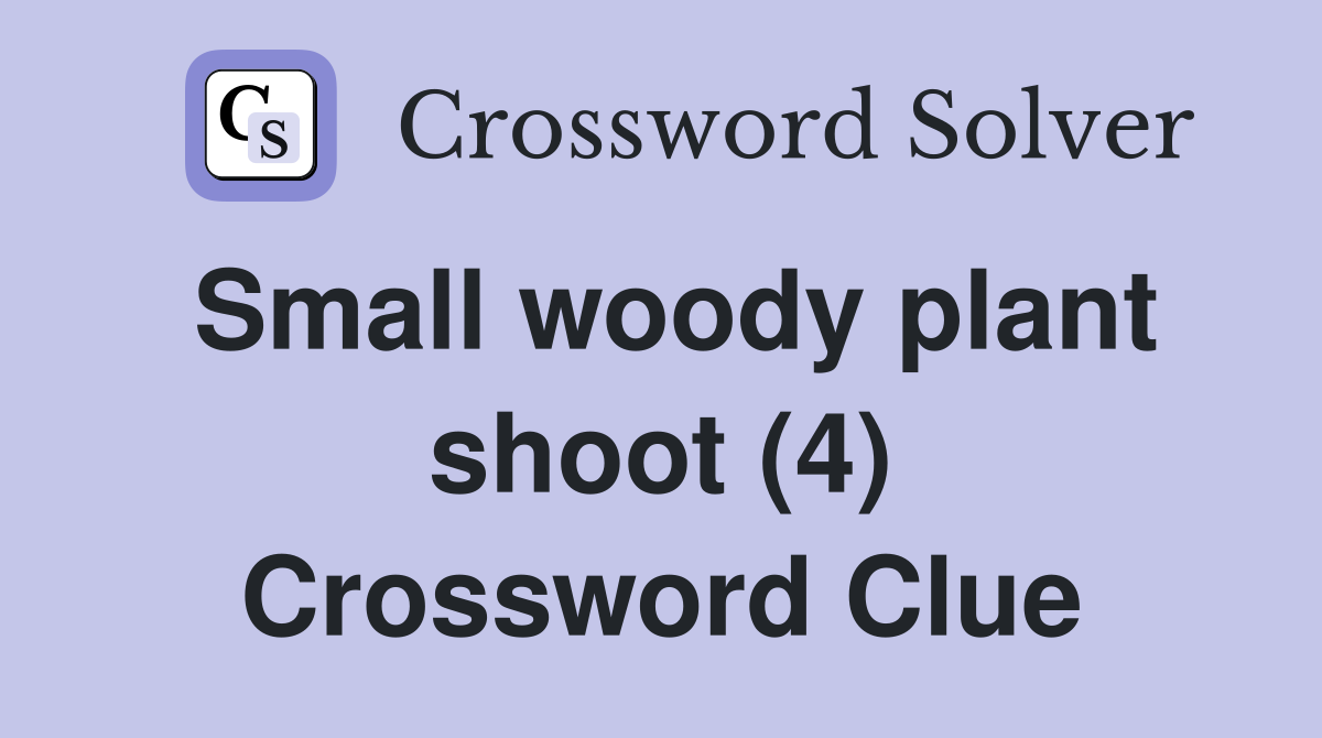 Small woody plant shoot (4) Crossword Clue