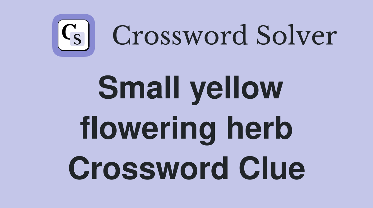 Small yellow flowering herb Crossword Clue