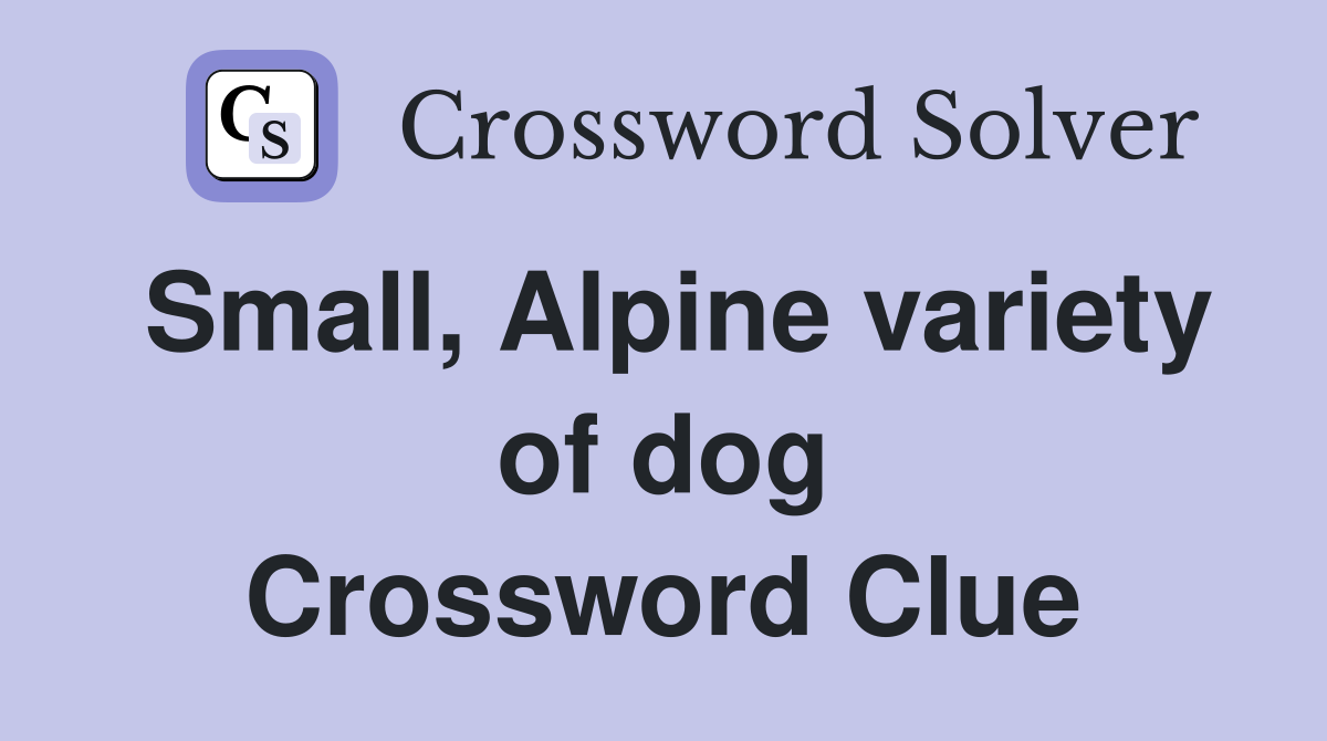 Small, Alpine variety of dog Crossword Clue