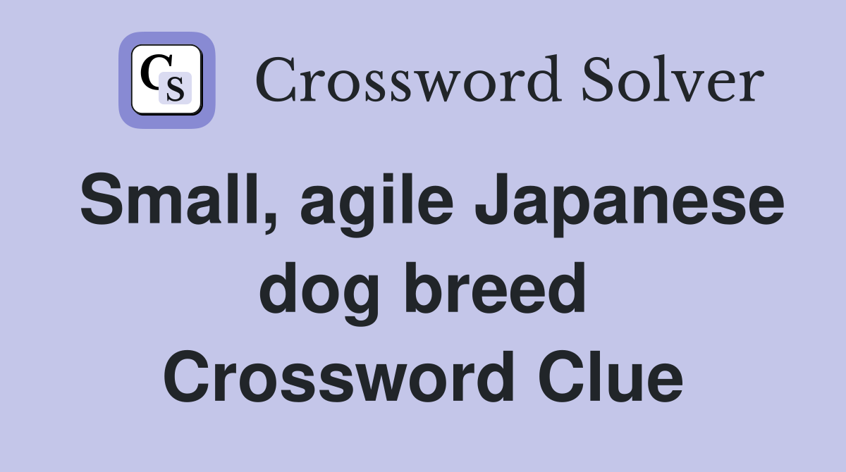 Small, agile Japanese dog breed Crossword Clue