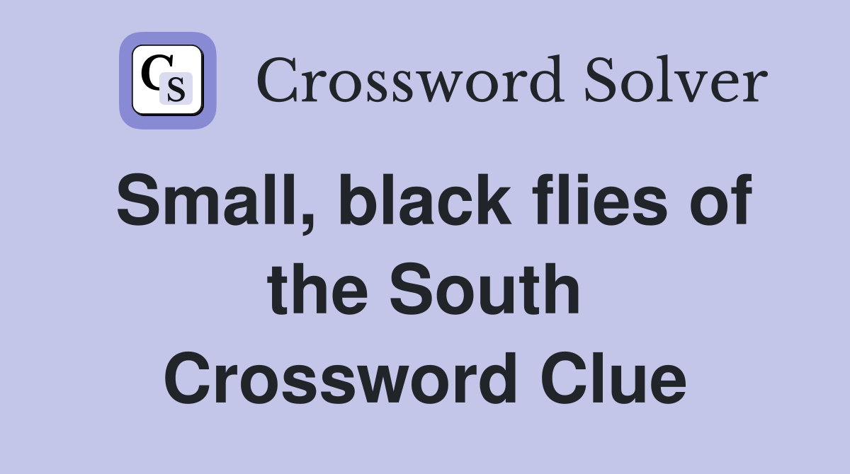 Small, black flies of the South Crossword Clue