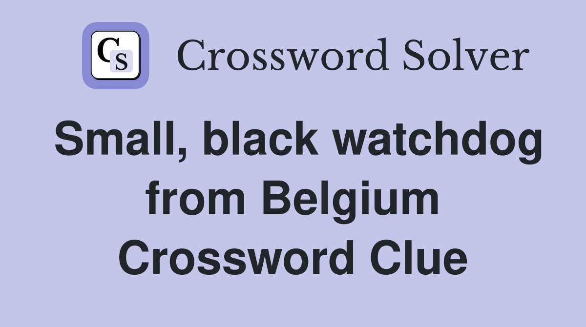 Small, black watchdog from Belgium Crossword Clue