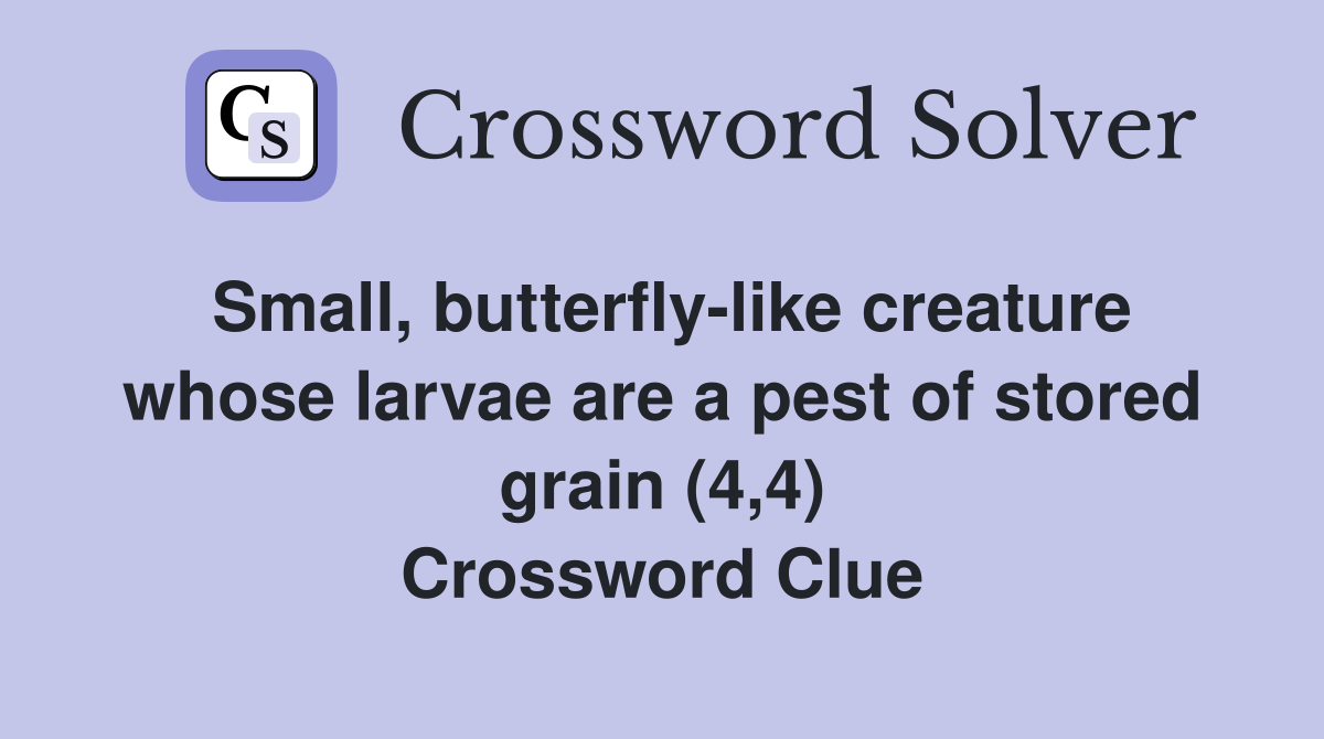Small, butterfly-like creature whose larvae are a pest of stored grain (4,4) Crossword Clue