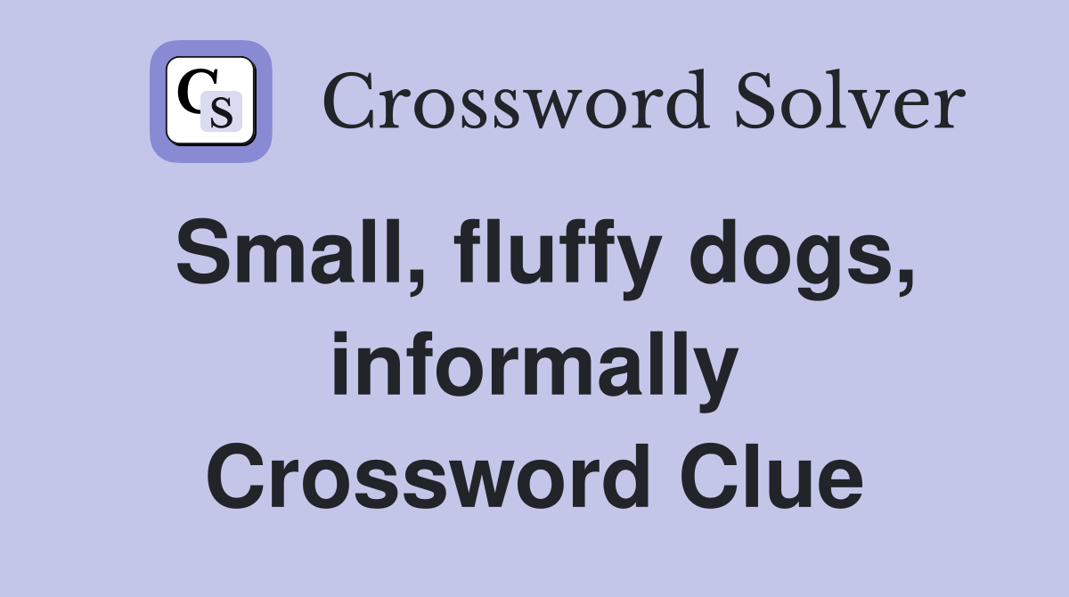 Small, fluffy dogs, informally Crossword Clue