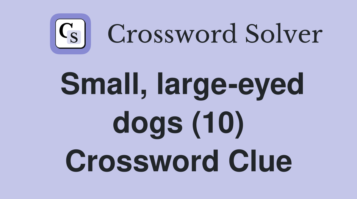 Small, large-eyed dogs (10) Crossword Clue