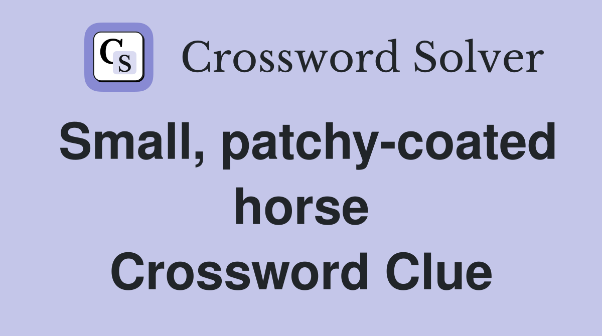 Small, patchy-coated horse Crossword Clue