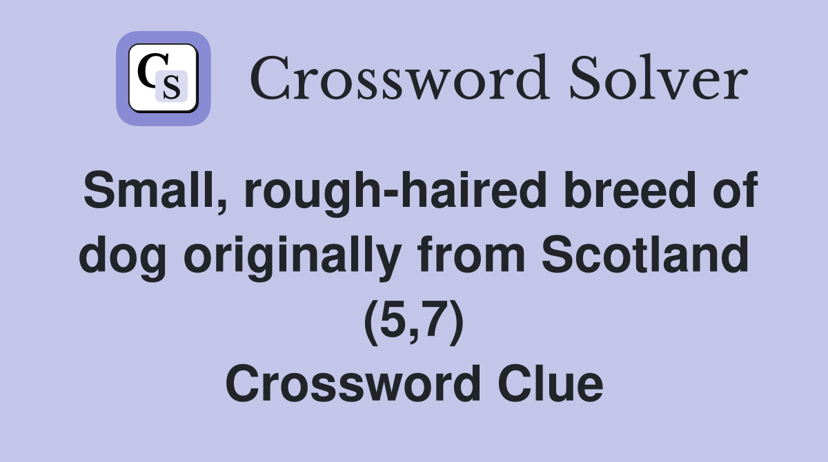Small, rough-haired breed of dog originally from Scotland (5,7) Crossword Clue