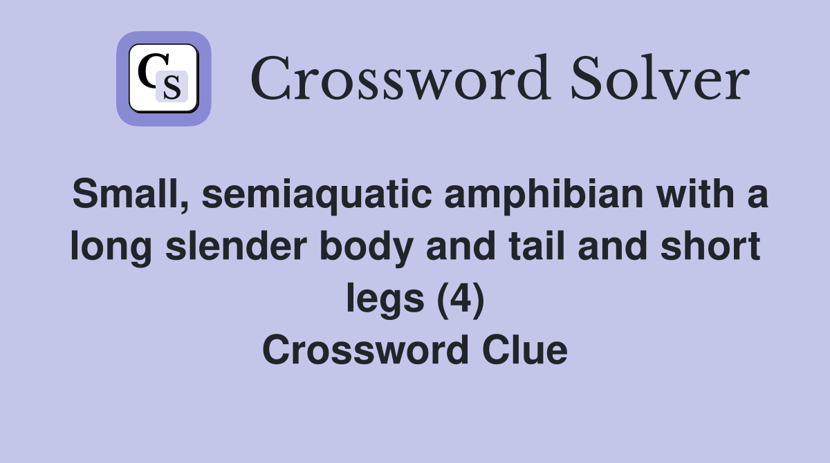 Small, semiaquatic amphibian with a long slender body and tail and short legs (4) Crossword Clue