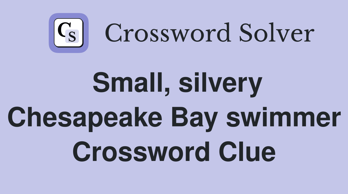Small, silvery Chesapeake Bay swimmer Crossword Clue