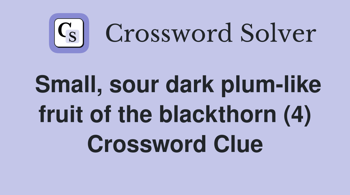 Small, sour dark plum-like fruit of the blackthorn (4) Crossword Clue